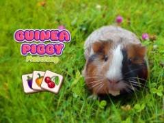 Guinea Piggy Matching - crazygames