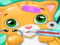Doctor del Gato, Salva a Mi Gato - crazygames
