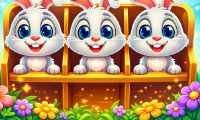 Clasificación de Conejos - crazygames