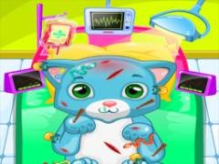 Clínica de Gatos ASMR - crazygames