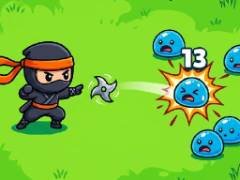 Enjambre Shinobi - crazygames,crazy games,free games,h5 game, free play,free crazy games
