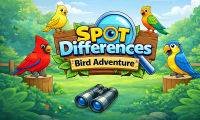 Aventura del Pájaro de Diferencias Visuales - crazygames,crazy games,free games,h5 game, free play,free crazy games
