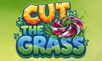 Corta el Césped 3D - crazygames,crazy games,free games,h5 game, free play,free crazy games