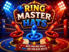 Sombreros de Maestro de Anillos - crazygames